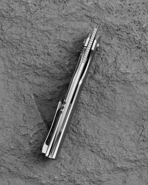 BESTECH TAIPAN BT2503A Titanium Handle: 3.73" Hollow Grinds MC Blade Frame Lock