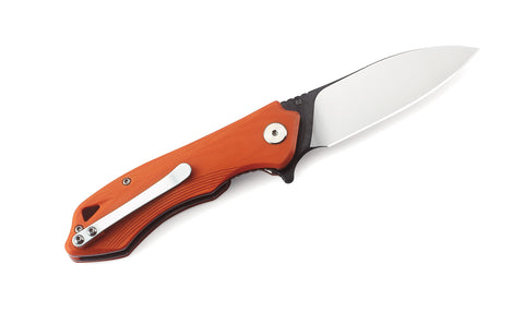 BESTECH BELUGA G10 Handle: 2.96" D2 Blade BG11E-1