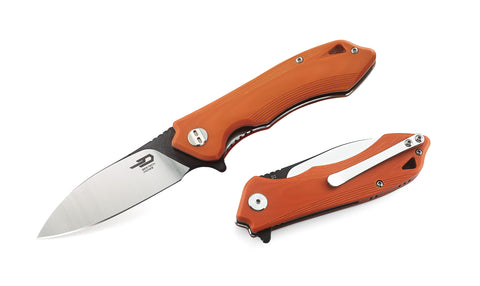 BESTECH BELUGA G10 Handle: 2.96" D2 Blade BG11E-1