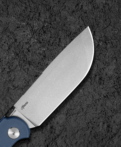 BESTECH GLOK BG55B G10 Handle 3.54" 14C28N Blade