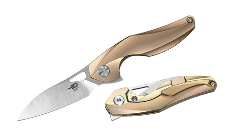 BESTECH THE RETICULAN BT1810D Titanium Handle: 2.09" CPM-S35VN Blade