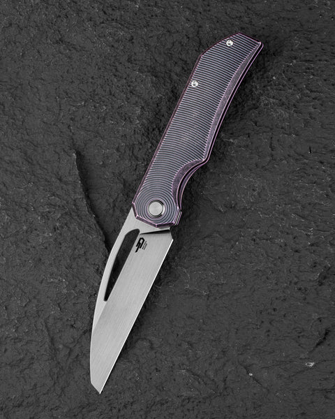 BESTECH TAIPAN BT2503H Titanium Handle: 3.73" Hollow Grinds MC Blade Frame Lock