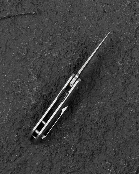 BESTECH DUCI BT2605A Titanium Handle: 1.97" CPM-20CV Blade, Flipper with Frame Lock, Removable Ring with Release Button
